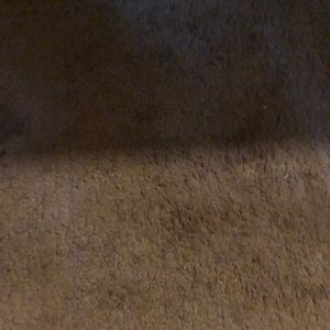 Meet your Posher, Colby